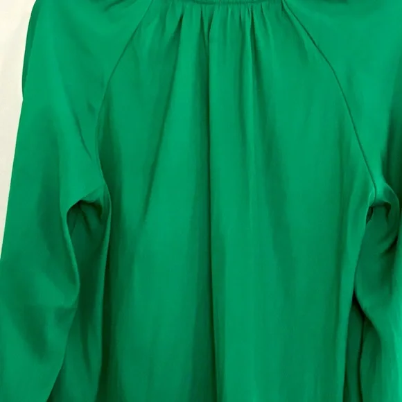 Loft Emerald Glow Shirred Raglan Long Sleeve V-neck Blouse - Picture 5 of 14